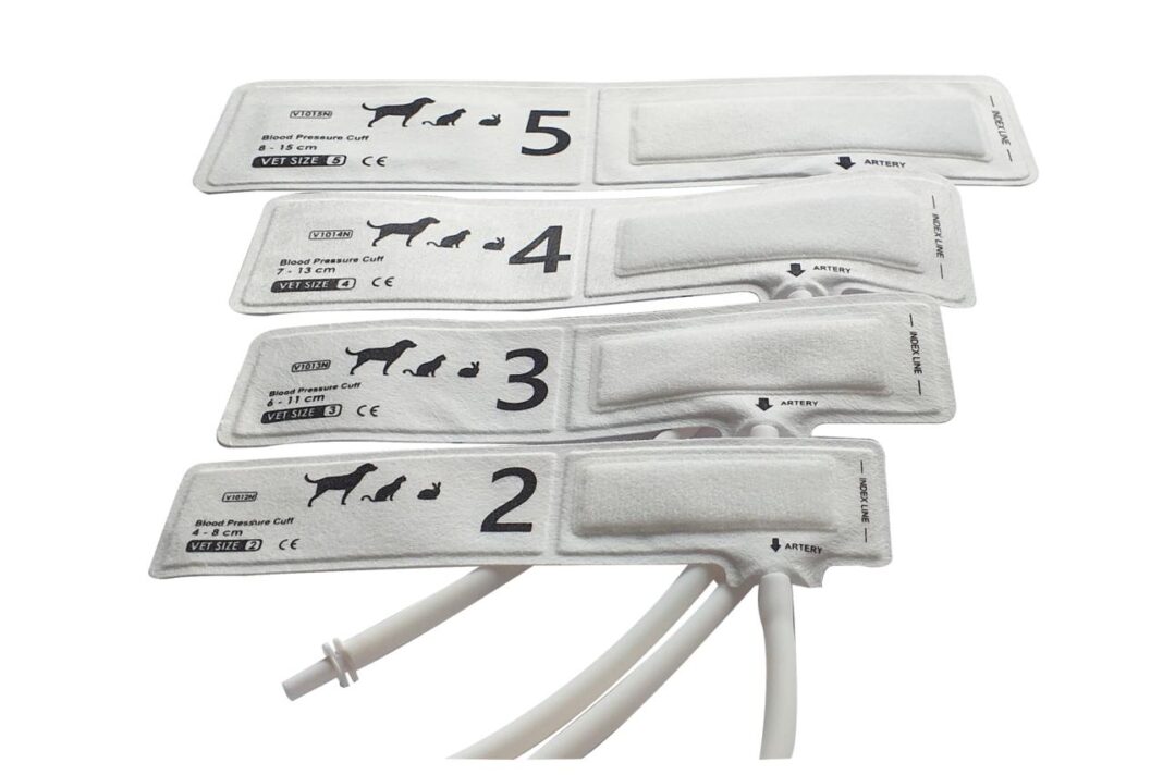 Pressure on a veteran and senator shows what’s next for those who oppose Trump