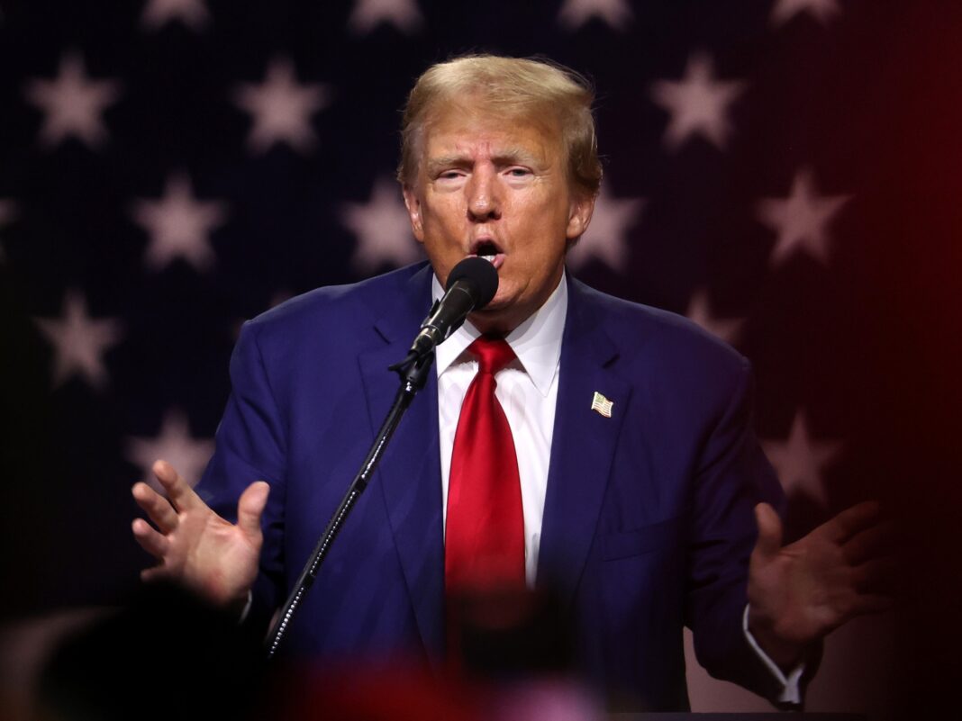 A key Trump ally on immigration explains how mass deportations could work