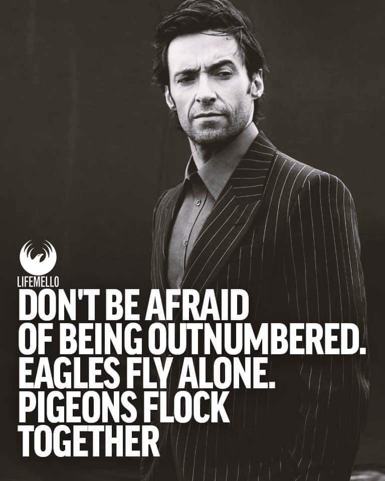 outnumbered-to-home-alone:-the-christmas-tv-highlights-to-look-out-for outnumbered-to-home-alone:-the-christmas-tv-highlights-to-look-out-for