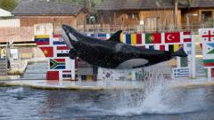 marineland-antibes:-fate-of-orcas-left-uncertain-after-zoo-shuts