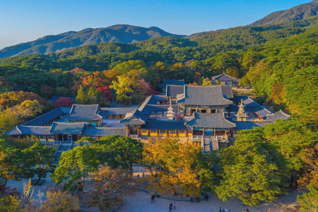 south-koreas-acting-leader-accepts-resignation-of-presidential-security-chief