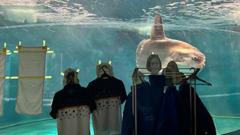 Japan: Aquarium sticks human photos on tank for ‘lonely’ sunfish