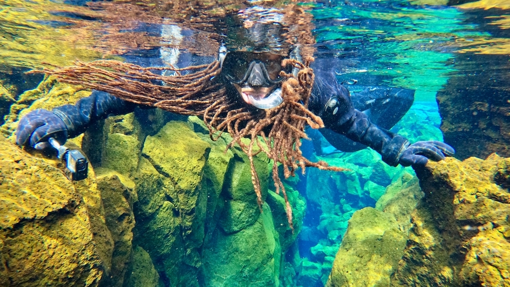 Inside Iceland’s futuristic farm growing algae for food