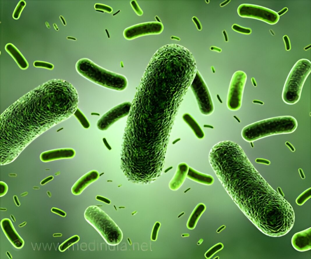 Dangerous drug-resistant bacteria are spreading in Ukraine