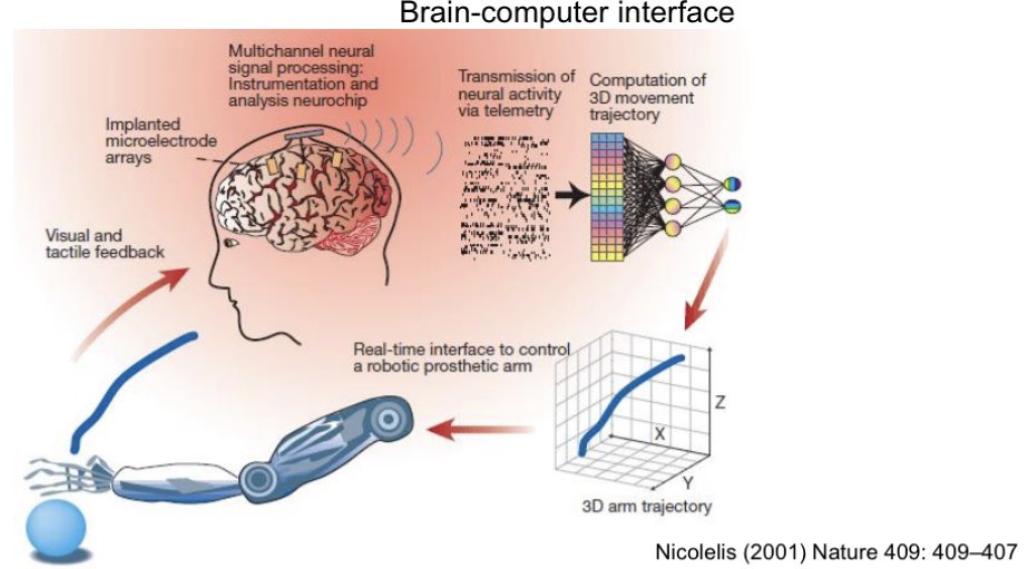 tech-life-–-decoding-the-brain-–-bbc-sounds