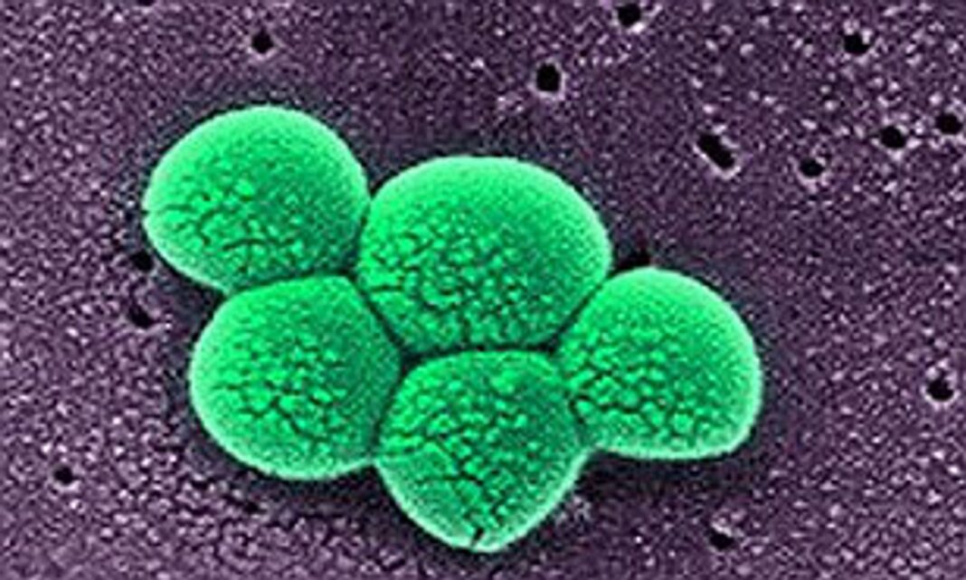 AI cracks superbug problem in two days that took scientists years