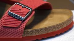 birkenstock-sandals-are-not-art,-says-german-court