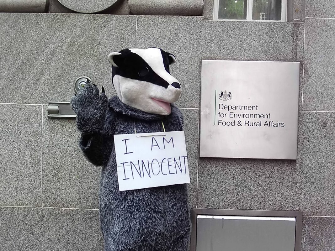 badger-admiring-banksy-style-image-wins-wildlife-photo-competition