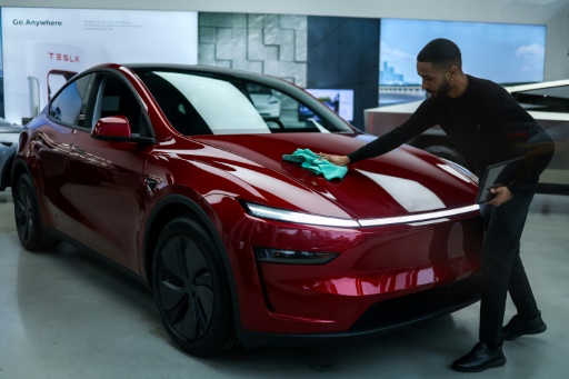 Tesla shares slump after European sales fall