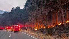 thousands-evacuated-as-japan’s-biggest-fire-in-decades-continues-to-burn