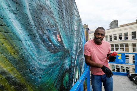 Ofcom needs more powers to remove misleading posts, says watchdog