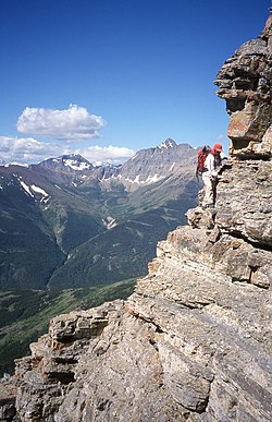 Why food firms are scrambling to cut down on ingredients