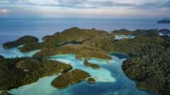 How a race for electric vehicles threatens a marine paradise