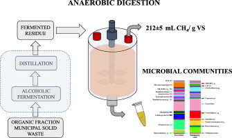 bioethanol-redundancies-to-start-next-week-after-rescue-ruled-out bioethanol-redundancies-to-start-next-week-after-rescue-ruled-out