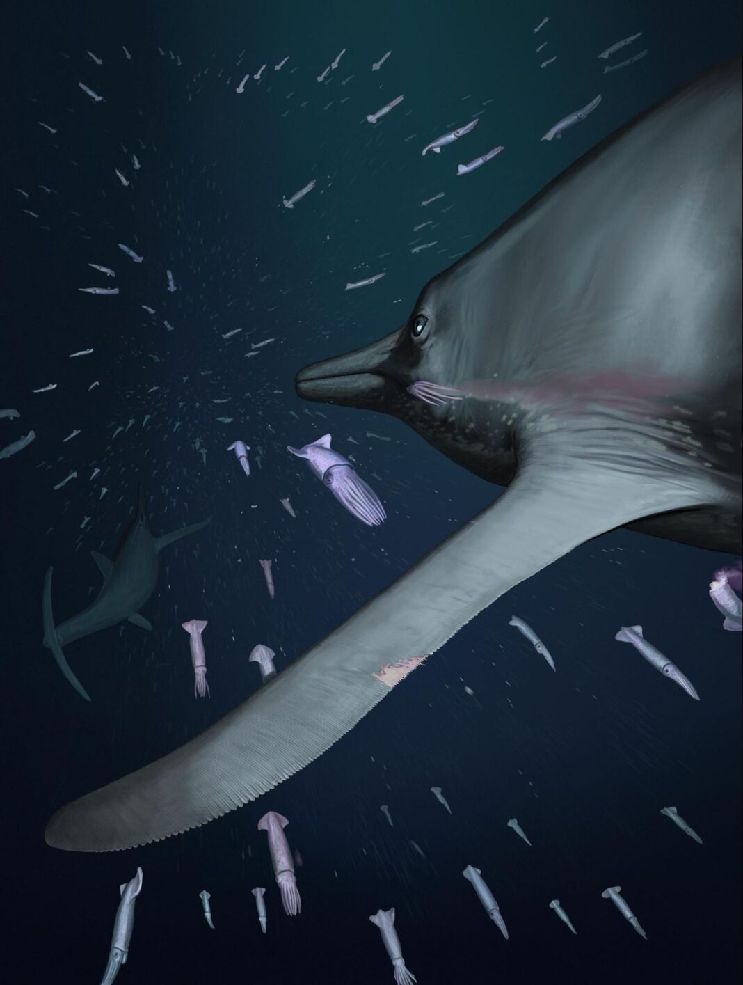 scientists-discover-an-ancient-whale-with-a-pokmon-face-and-a-predator-bite