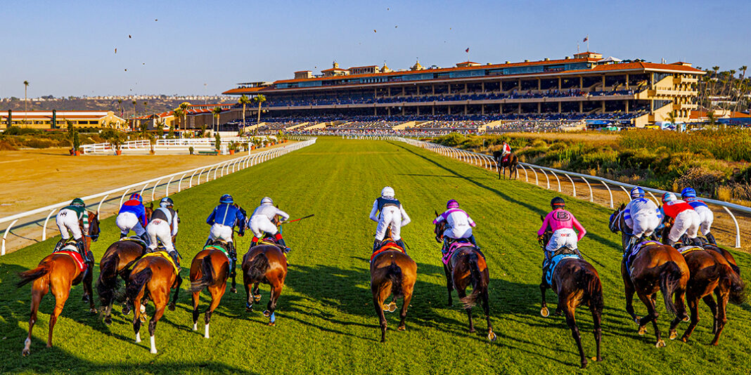 horse-races-cancelled-in-protest-against-proposed-betting-tax-rise