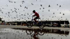 mumbai:-pigeon-feeding-ban-sparks-debate-in-india