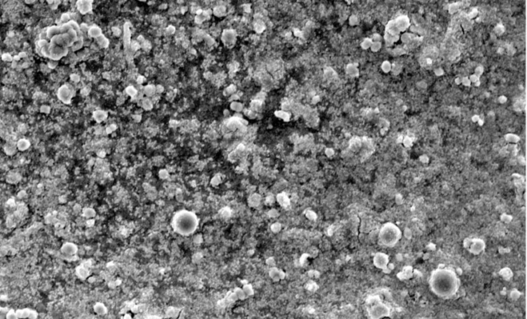 the-bacteria-turning-waste-plastic-into-painkillers the-bacteria-turning-waste-plastic-into-painkillers