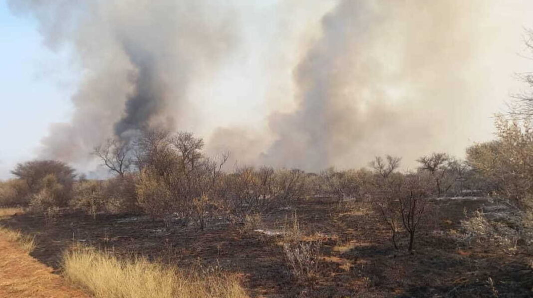 namibia-fires:-army-sent-into-etosha-national-park namibia-fires:-army-sent-into-etosha-national-park
