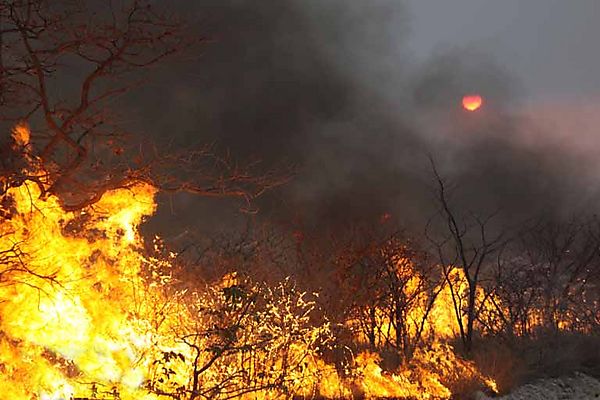 namibia-fires:-army-sent-into-etosha-national-park