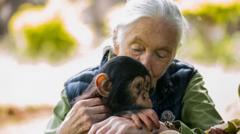 jane-goodall-tells-bbc-how-she-became-interested-in-animals