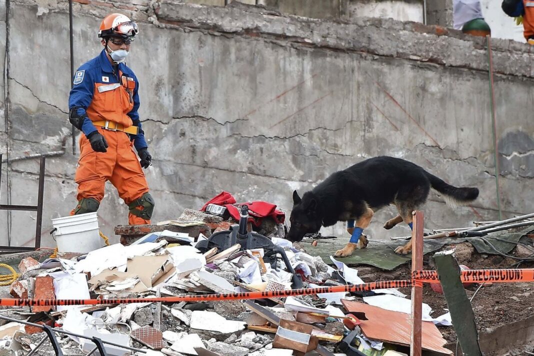 rescuers-desperately-search-for-survivors-of-earthquake-in-the-philippines-that-killed-at-least-72