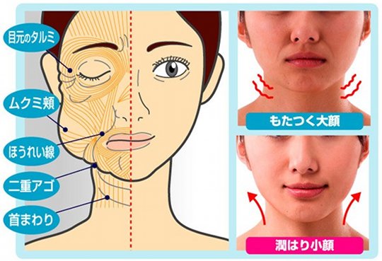 japan-faces-asahi-beer-shortage-after-cyber-attack