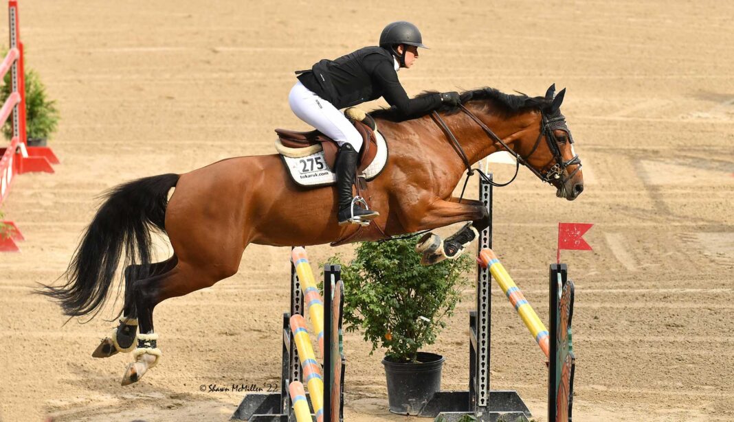 sex,-class,-horses:-the-unique-mix-that-made-jilly-cooper’s-books-special sex,-class,-horses:-the-unique-mix-that-made-jilly-cooper’s-books-special