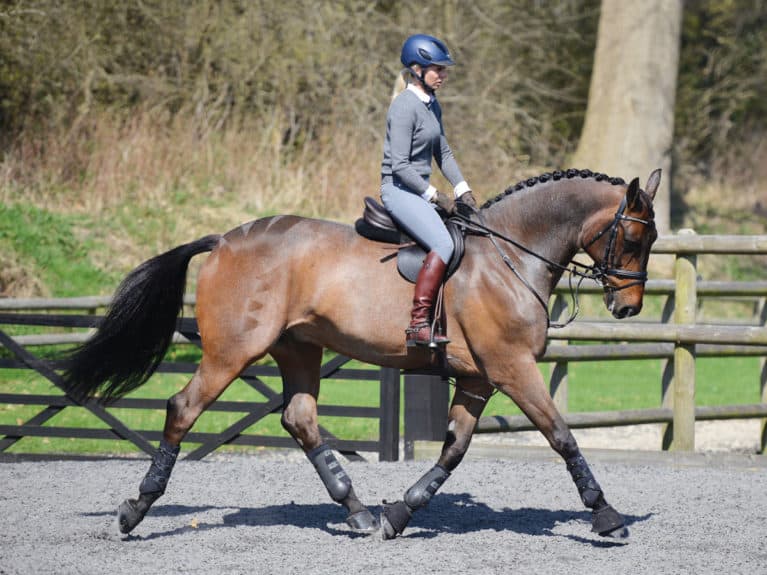 sex,-class,-horses:-the-unique-mix-that-made-jilly-cooper’s-books-special