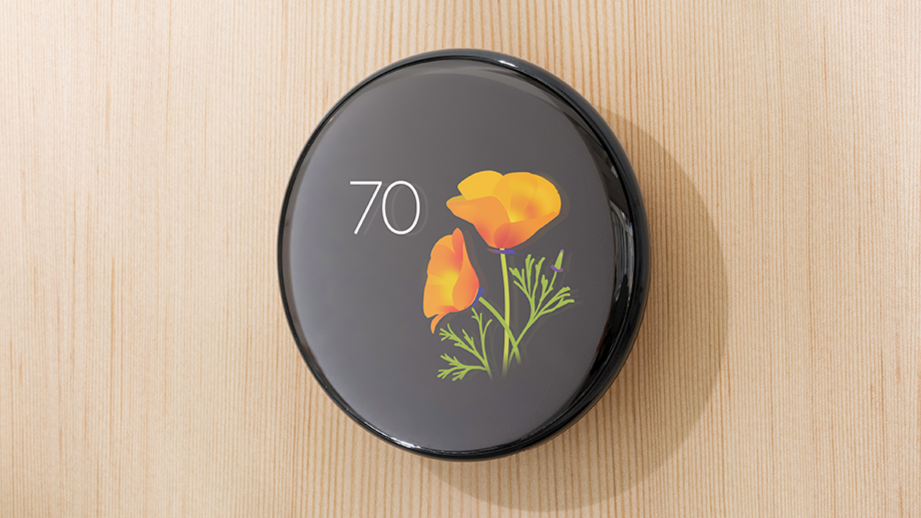 Turn your Nest Thermostat into a piece of wall art with Google