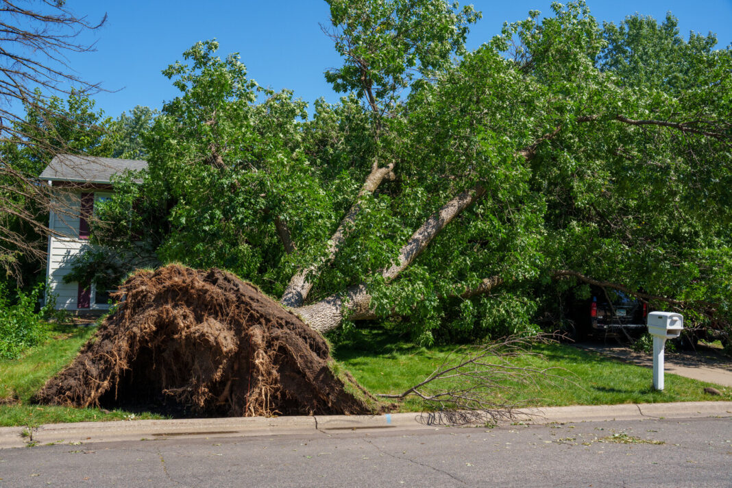 storm-decimates-2-alaskan-villages-and-drives-more-than-1,500-people-from-their-homes
