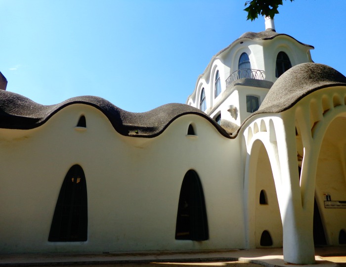 Terrassa: Catalonian town bans black cat adoptions during Halloween