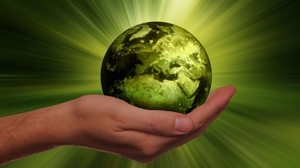 why-net-zero-is-a-business-necessity-and-not-a-political-football