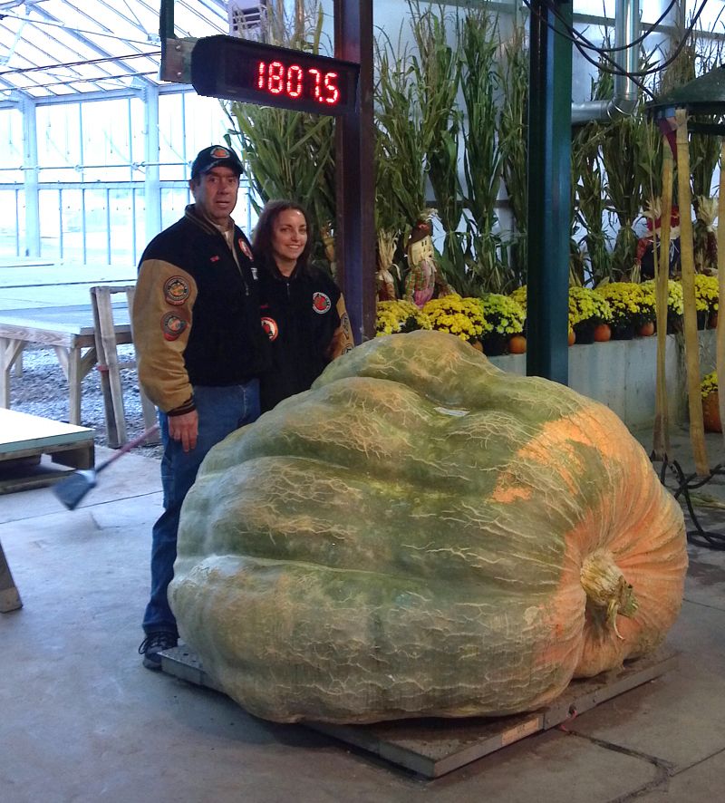 giant-pumpkins-hit-the-water-for-rowing-race-in-oregon
