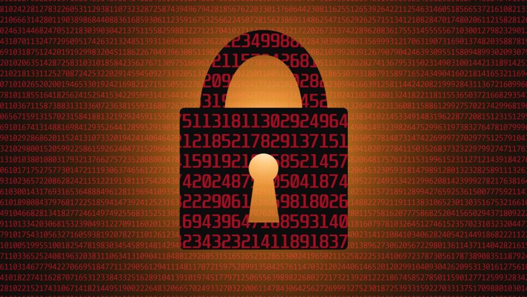 Widespread internet shutdown reported in Tanzania during general election – here