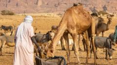 Chad water well dispute escalates leaving at least 42 dead chad-water-well-dispute-escalates-leaving-at-least-42-dead