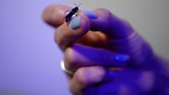 Tech Now – Inside the High-Tech Insect Farm tech-now-–-inside-the-high-tech-insect-farm