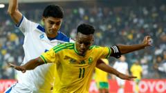 South Africa made to look like fools after World Cup visa issues, says minister south-africa-made-to-look-like-fools-after-world-cup-visa-issues,-says-minister