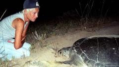 Lebanese turtle conservationist Mona Khalil killed by Israeli strike lebanese-turtle-conservationist-mona-khalil-killed-by-israeli-strike