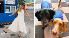 How to cope in a heatwave – according to you how-to-cope-in-a-heatwave-–-according-to-you