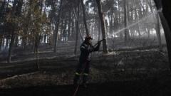 Greece wildfire leaves two dead as firefighters struggle to contain blaze greece-wildfire-leaves-two-dead-as-firefighters-struggle-to-contain-blaze