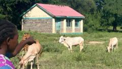 Kenya’s vanishing rural schools – and why a new curriculum may be to blame kenya’s-vanishing-rural-schools-–-and-why-a-new-curriculum-may-be-to-blame