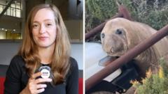Watch: How Neil the seal caused love and mayhem in Australia watch:-how-neil-the-seal-caused-love-and-mayhem-in-australia