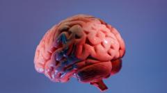 how-indian-scientists-are-mapping-the-brain’s-last-frontier how-indian-scientists-are-mapping-the-brain’s-last-frontier