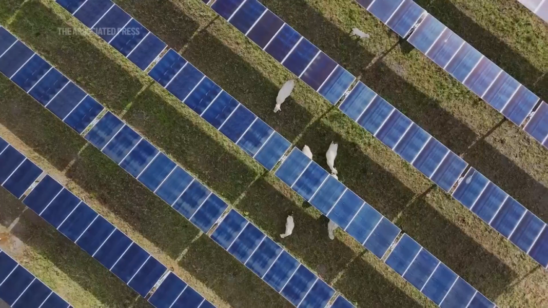 China’s solar empire enters a new era as standards change old factories china’s-solar-empire-enters-a-new-era-as-standards-change-old-factories