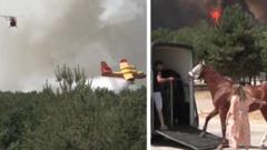 France: Horses evacuated as fire approaches riding centre near Paris france:-horses-evacuated-as-fire-approaches-riding-centre-near-paris