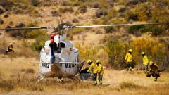 Seven Britons among those killed in Spain wildfires seven-britons-among-those-killed-in-spain-wildfires