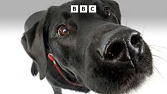 Tech Life – Smell the future – BBC Sounds tech-life-–-smell-the-future-–-bbc-sounds