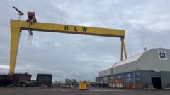 Harland & Wolff: Shipyard cranes to be overhauled ahead of major contract harland-&-wolff:-shipyard-cranes-to-be-overhauled-ahead-of-major-contract
