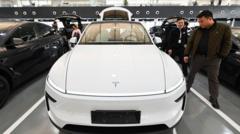 Nearly three million Teslas recalled in China over hidden door handles nearly-three-million-teslas-recalled-in-china-over-hidden-door-handles